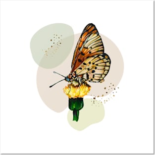 Monarch butterfly on a dandelion Posters and Art